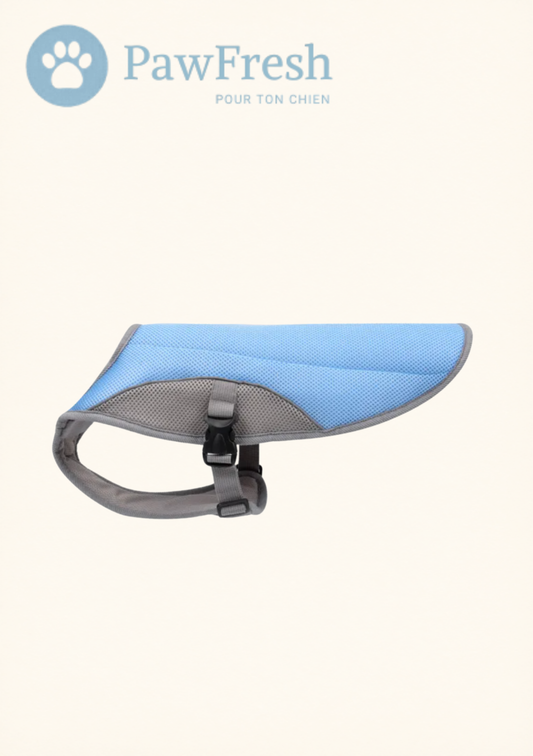 Gilet Rafraîchissant Chien — Protection Chaleur Été
