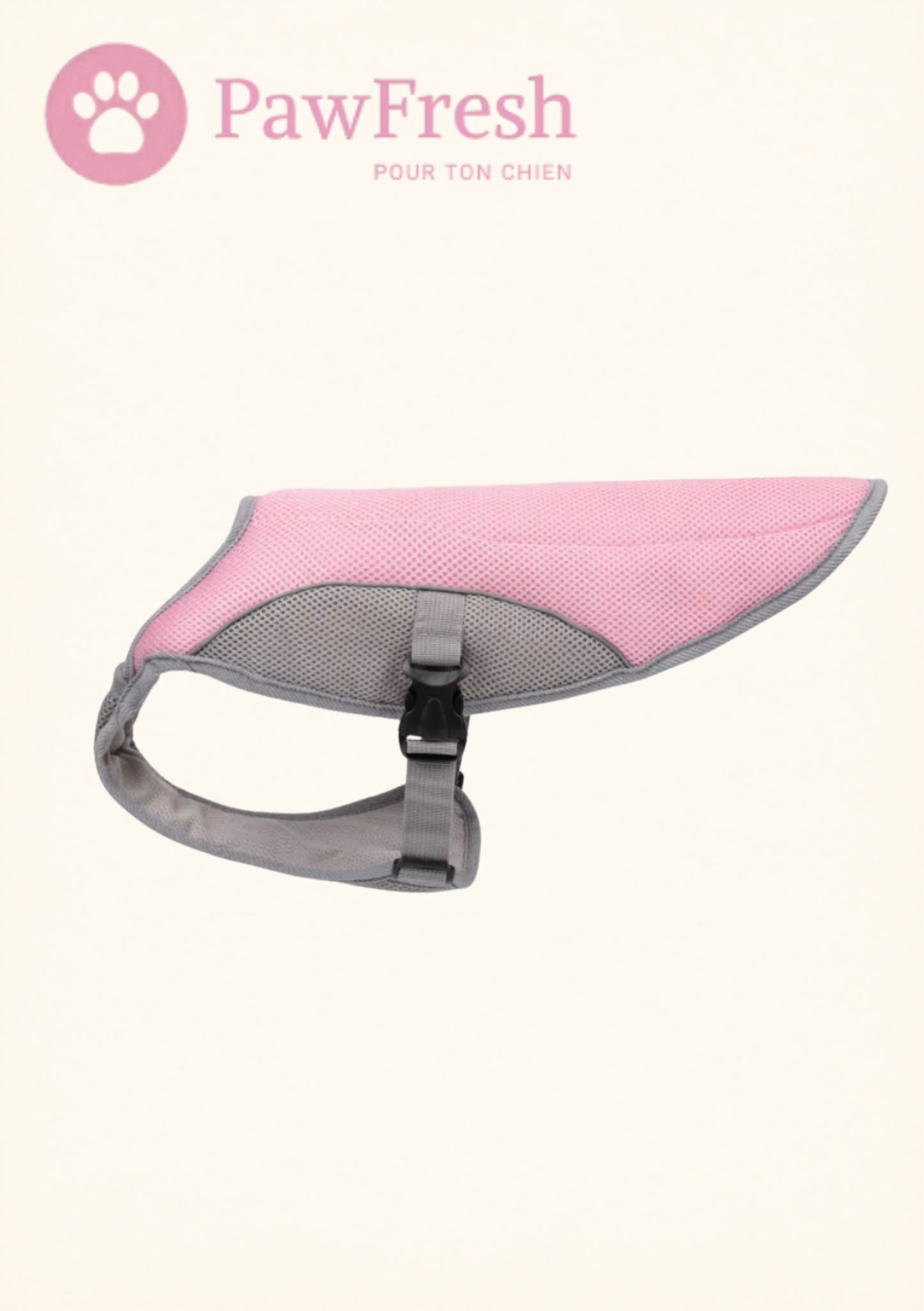 Gilet Rafraîchissant Chien — Protection Chaleur Été