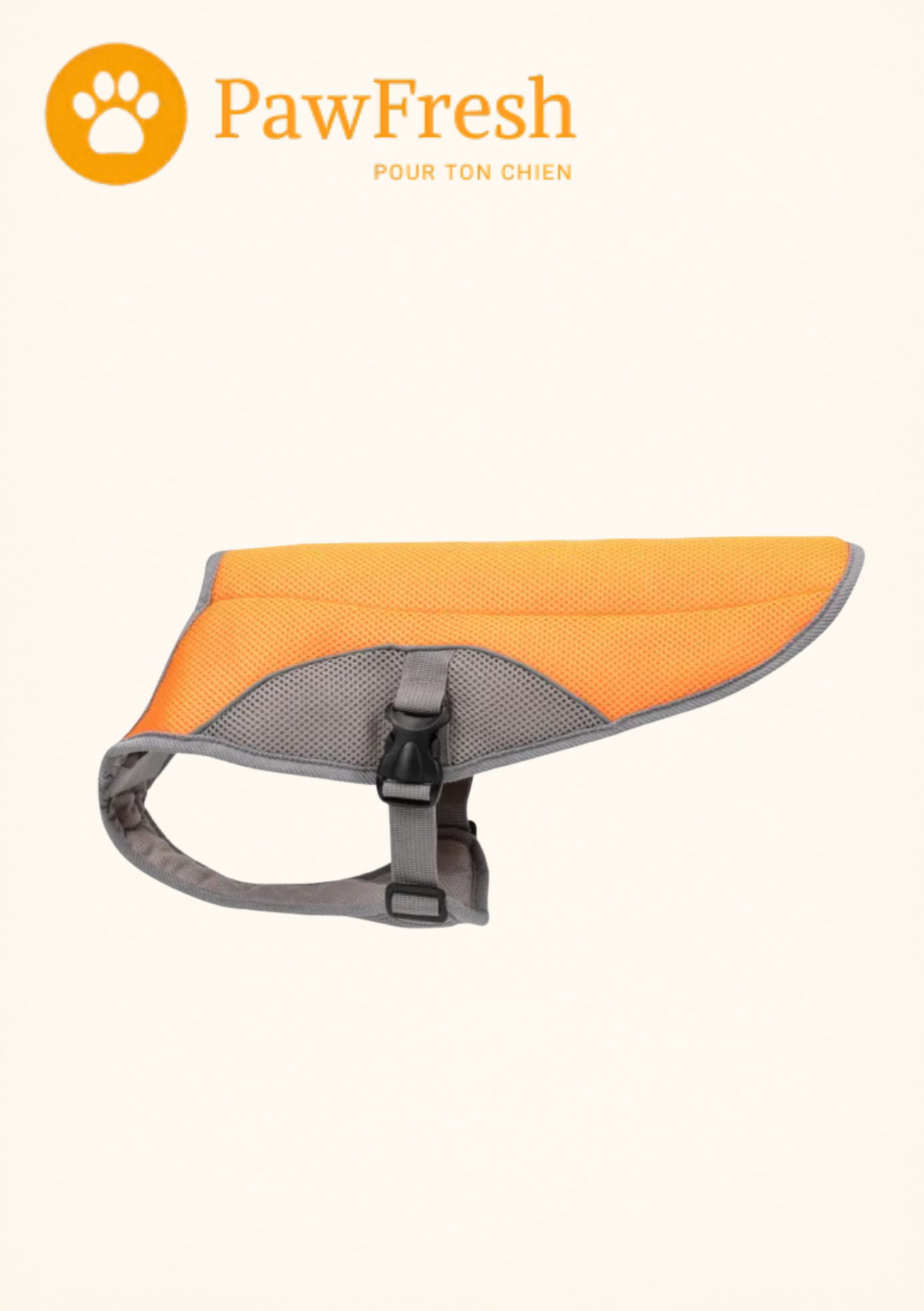Gilet Rafraîchissant Chien — Protection Chaleur Été