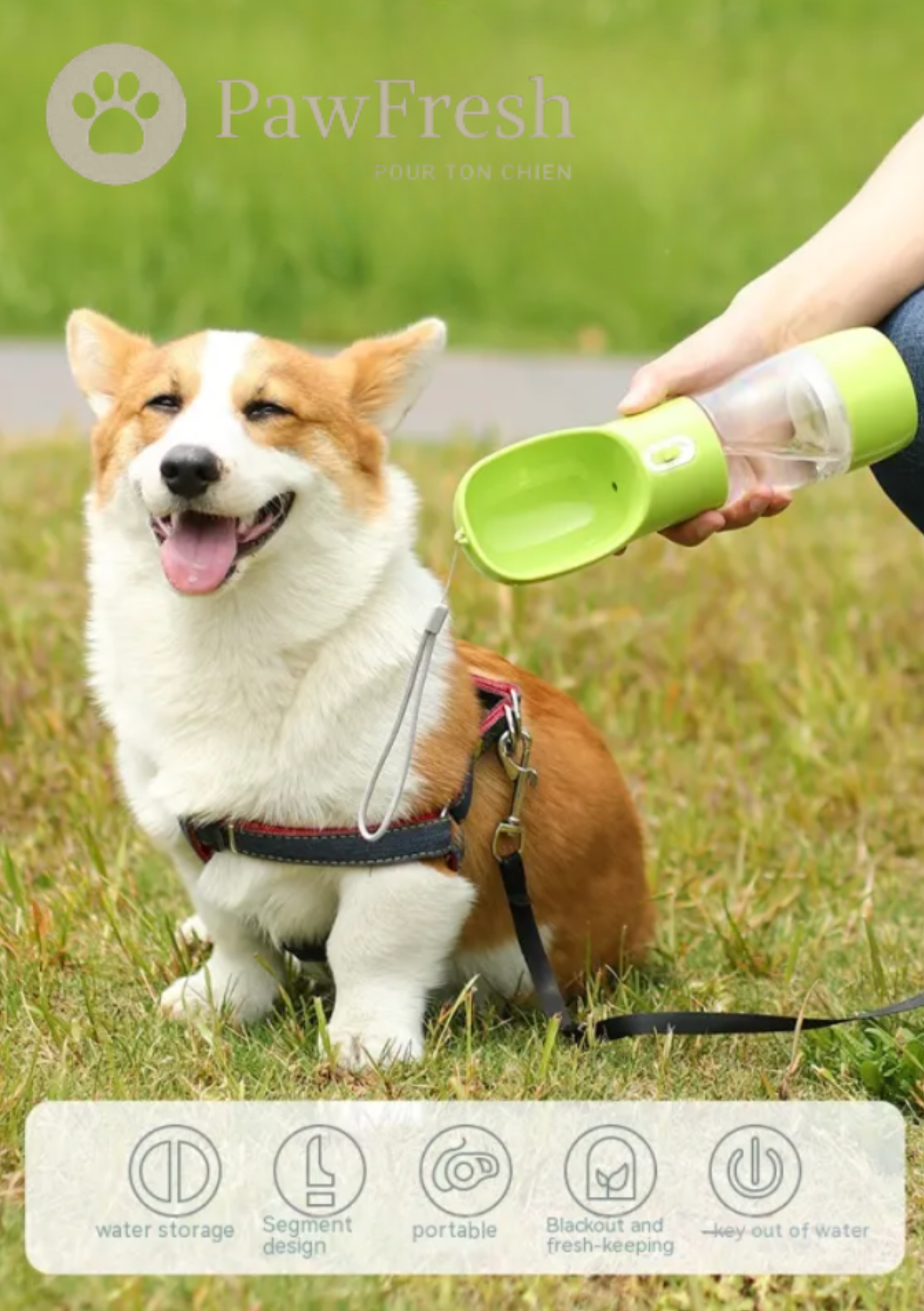 Gourde Portable Chien avec Bol — Balade & Vacances | PawFresh